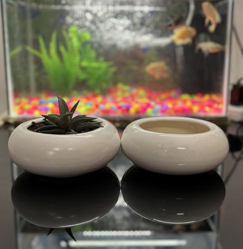 Image of White Ceramic Plant Pots for Indoor Plants | Table Top Planters for Succulents Herbs & Bonsai | Decorative Flower Pot for Home Office Balcony Decor (Set of 2)