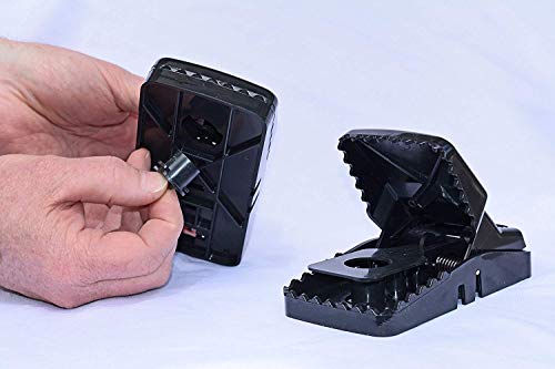 Eco Pro Pest Control 1015 Rat Snap Traps By Eco Pro Pest Control thumb #6