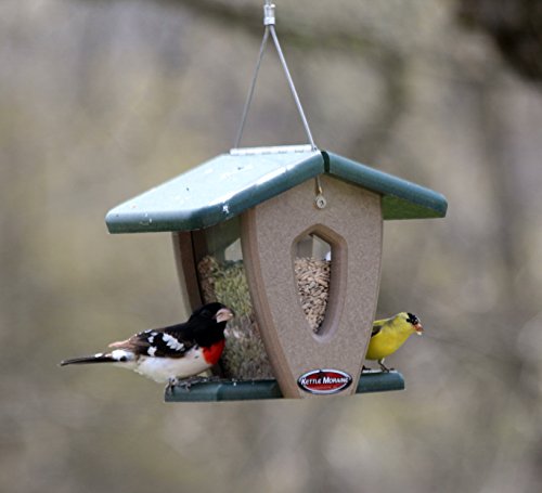 Alimentador Kettle Moraine Mini Moraine Hopper Reciclado (Verde/Chocolate)