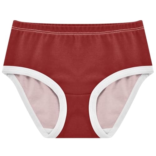 Joisal Toddler Underwear Floral 2t Cotton Girl Panties Cute Designer Briefs Kids Undies Maroon Burgundy Red