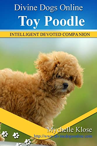Toy Poodles (Divine Dogs Online)