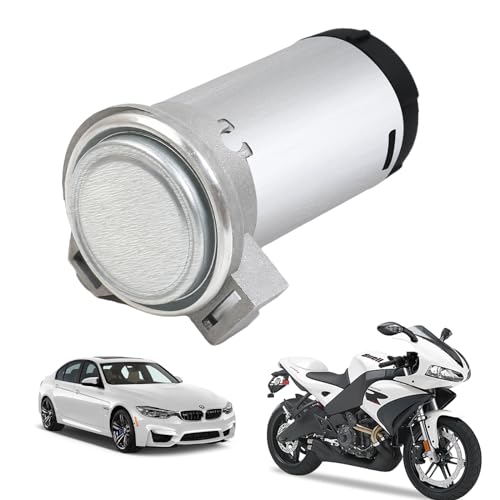MaxAwe 12V 150DB Luftkompressor, Auto Motor Horn Motor Air Pump Mini Luftpumpe Kit für Universal Air Horn, Verchromter Silber mit Kupferkabel