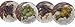 Certified International Wine Cellar 9-Inch Pasta/Soup Bowl, Set of 4 Assorted Designs
