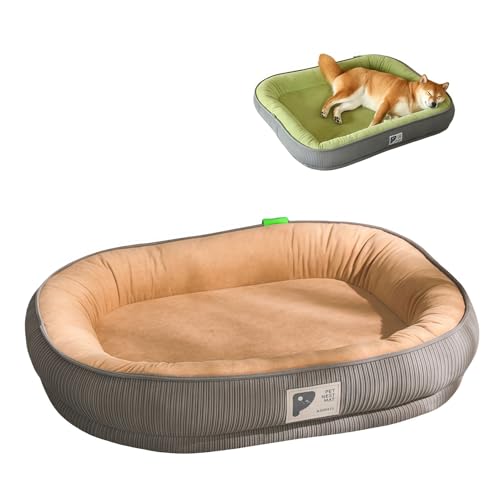 Starshine ybgxbh p xbh NbV Lp \t@[ zc  ʋC ǍD łjȂ tďH~ ʔN I[V[Y OJo[ ~ ΍ h 􂦂  ^ ^  q (M-