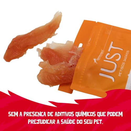 JUST Petiscos Saudáveis Pack com 6 Unidades Sabor Steak de Frango 55G