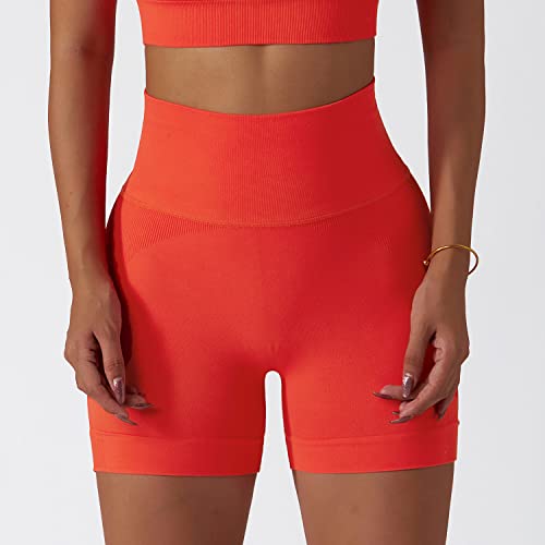 Image of Workout Sets for Women 2 Piece Seamless Ribbed Tank Top Sport Bra High Waist Biker Shorts GYM Yoga Exercise Outfits