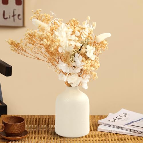 Miniatura 4 de Amfun Flores Secas Naturales, Manualidades, Decoración Floral Beige