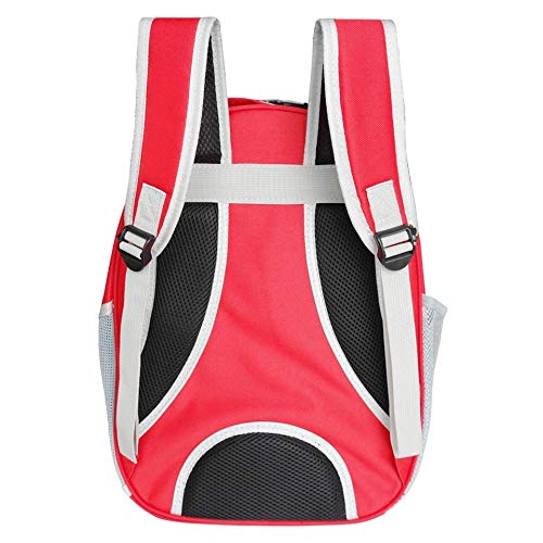 Image of Petlicious & More Pet Transparent Cat Carrier Backpack Puppy Kitty Breathable Carriers for Travel Capsule Backpack (Red)