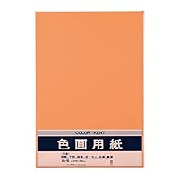 色紙 8枚 prdct_img_33260_2.jpg