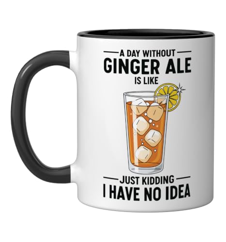 Funny Ginger Ale Lover T-Shirt A Day Without Ginger Ale Soda Ceramic Mug, Black/White, 11oz