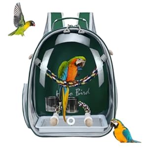 Bird Traval Carrier Cage, Multi Vent Holes Clear Space Capsule Astronaut Backpack to Carry Parakeet Cockatiel Parrot with Metal Tray Wood Perch, Vet Transport Book Bag (Green)