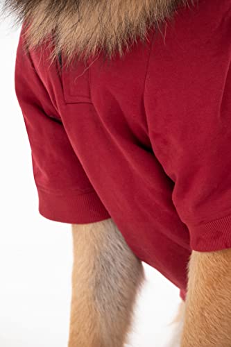 Image of HUFT Sweatshirt for Dogs - Maroon