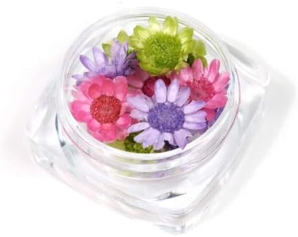 Amazon Greenocean ドライフラワー 12輪 3色ミックス スターフラワー クレマチス アクセサリーパーツ 通販