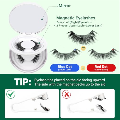 KEYYOU Reusable Magnetic Eyelashes 2 Pair with Applicator No Glue Needed 3D Natural Magnetic Lashes, Easy to Apply & Long Lasting for Daily Use & Events(A07+A07) — view 3
