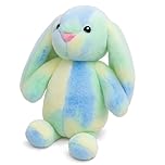 WaaRiuQ 1 Piece Bunny Teddy, Weighted Teddy Soft Toys, Cuddly Toys For Girls, Bunny Plush, Rabbit TEddy, Rainbow Friends Plush
