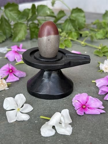 Image of Shivam VASTU AKAL 1.5 inch Original Narmadeshwar Narmada Shivling with 3 inch Narmada Stone Yoni Base Jaladhari (Mahamratunjay Shivling, Black Damtu Jaladhari)