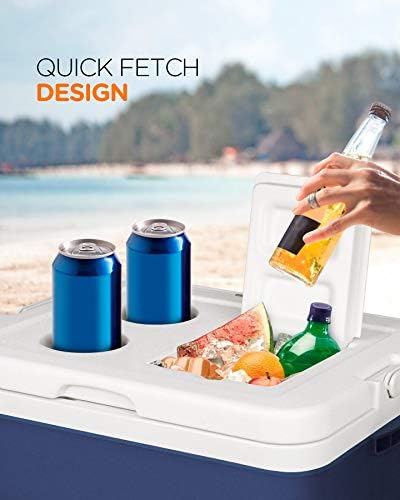 Tomons Cool Box Portable Cooler, 33L Insulated Box, with Handle, for Car, Truck, Boat, Outdoor Activities (standard cool box)