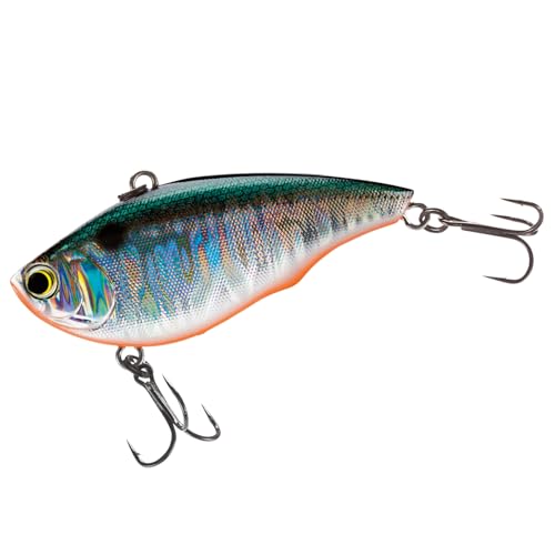 Leurre de s'enfoncer Yo-Zuri R1160-gt Rattl N Vibe lipless poisson nageur