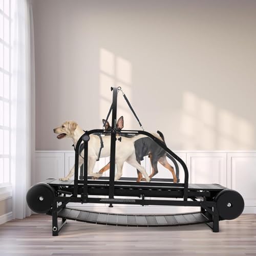 Dog Treadmill for Large/Medium Dogs, Adjustable Ramp Canine Running Slatmill Machine with Pedometer for Exercise & Healthy & Fit Pet Life, Indoor Outdoor Home use, Up to 300LBS