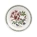 PORTMEIRION BOTANIC GARDEN BIRDS Salad plate ruby-throated hummingbird