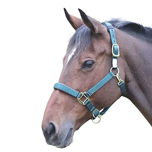 Shires Topaz Cavezza 387, verde scuro, XS Pony