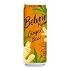 Belvoir Farm | Ginger Beer Cans, 6 x (4 x 250ml) Cans – Belvoir