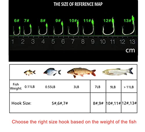 Carp Fishing Baits Hook Lure Trap Luminous Hooks with Drum Type Spring Feeder and Glow Fishing Beads Coarse Fishing Tackle (12#) by Milepetus - Image 2