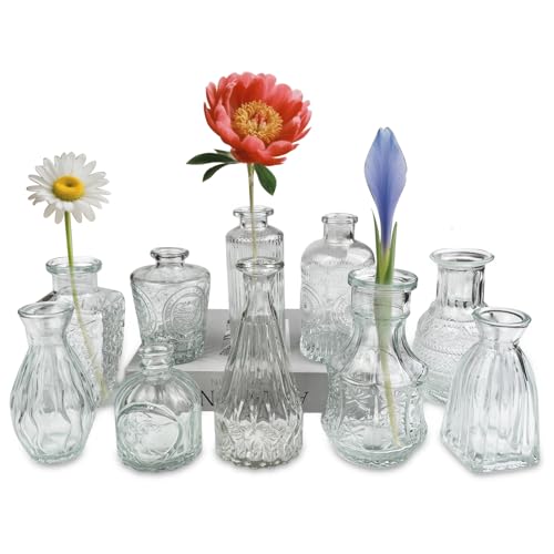 VELLUSTRA Lot de 10 Vases en Verre, Petit Mini Transparent Vase, Set Différentes Tailles Vase de Fleurs, Belle Forme, pour Décoration de Table La Maison Mariage, Décorations de Table Moderne