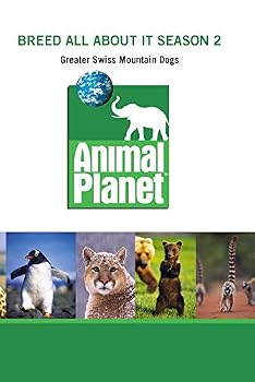 DVD Breed All About It Season 2 - Greater Swiss Mountain Dogs Book