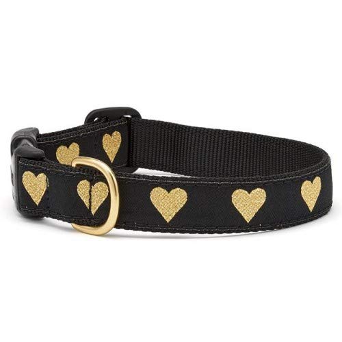 Up Country Hog-C-M Heart of Gold - Collar para Perro, Talla M, 1 Pulgada