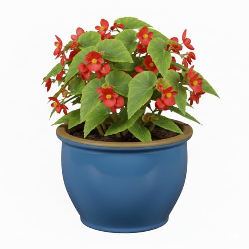 Maceteros de cerámica resistentes a las heladas, resistentes a la intemperie,...