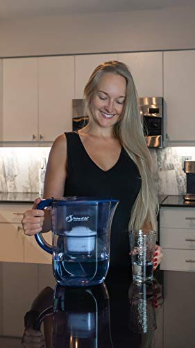 Life Ionizer POL 2024 RF SINGLE PACK Pitcher Of Life Improved 2024 - Alkaline Pitcher Replacement Water Filters thumb #3