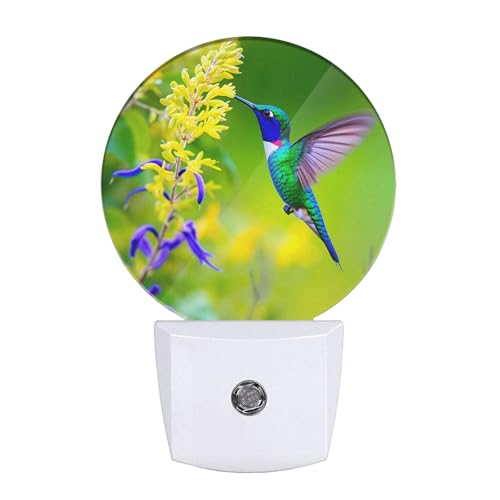Image of EKOBLA Hummingbird Night Light, Spring Garden Bird and Flower Night Lights Plug Into Wall with Auto Sensor for Home Indoor Decor