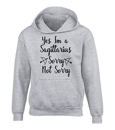 Sweat à capuche Sagittaire Gris 12-13 ans - Coton Premium
