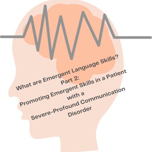 What are Emergent Language Skills? Part 2: Promoting Emergent Skills in a Patient with a Severe to Profound Communication Disorder