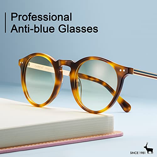 Image of CARFIA Acetate Round Blue Light Blocking Glasses for Women Anti Eye Eyestrain Computer Gaming Glasses CA5373NF