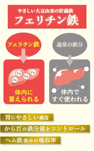 漢方生薬研究所 フェリチンセレクト の商品画像 4