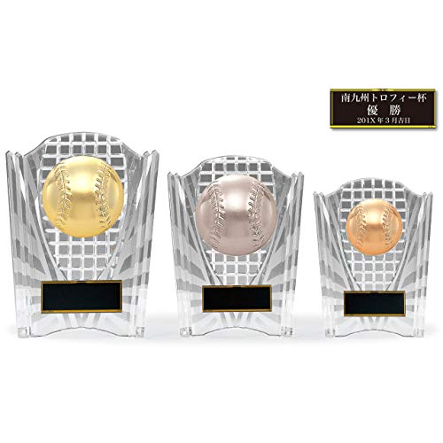 [[U[] GOLD SHACHI \|  {[ NA| KV5458  CTCY 13.5cm y싅 z