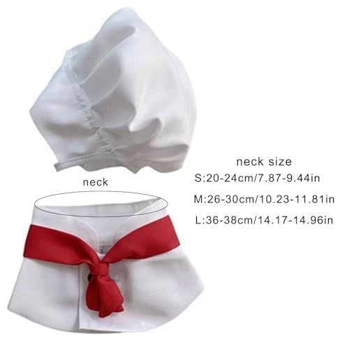 Disfraz de Chef para Perro, Set Sombrero y Collar miniatura 7