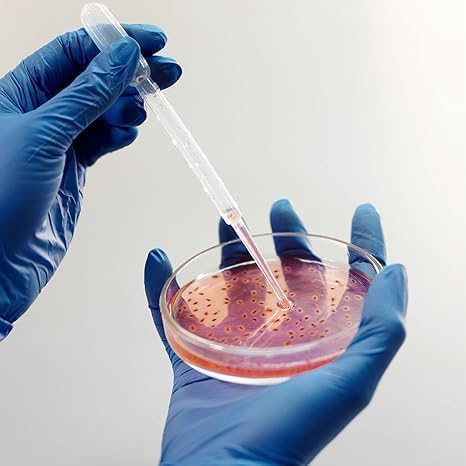 Image of ISKO Borosilicate Glass Petri Dishes (2 inch or 50mm, 4 pcs)