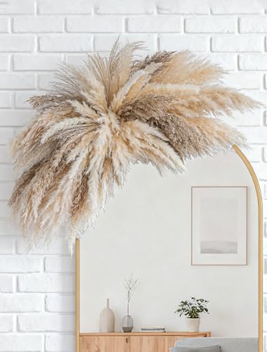 WILD AUTUMN Fluffy Boho Wall decor - DIY pampas grass kits,Decorative pampas cloud,Mirror Decorative,for Entryway Bedroom Living Room Bathroom House Warming Gifts New Home Essential - Need to assemble
