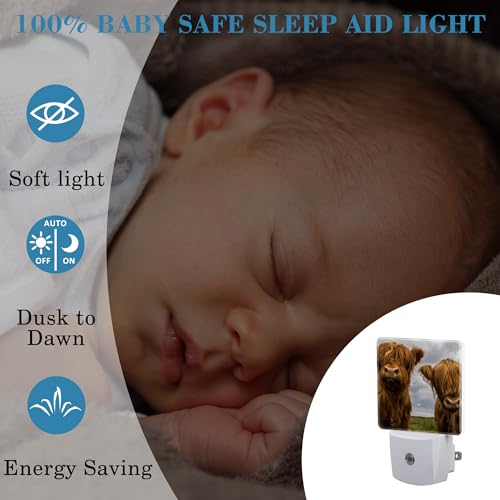 Image of Highland Cows Night Light with Dusk to Dawn Sensor for Kid Girls Boys Women Men Room Decor, Hallway, Kitchen, Bathroom, Nursery, Stairs