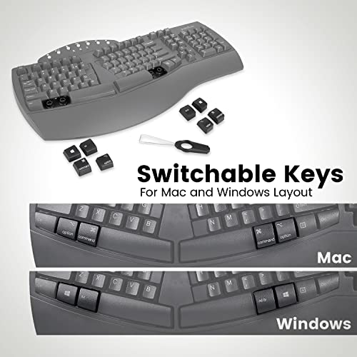 Image of Perixx PERIBOARD-612B Wireless Ergonomic Split Keyboard - Dual Mode Bluetooth & 2.4GHz with Palm Rest - Compatible with Windows and Mac OS - Black, US English Layout