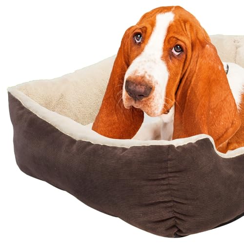 Petnic - Hundebett ca. 60x48x18 cm - Braun - Plüsch flauschig mit Rand weich für kleine bis mittelgroße Hunde Katzenbett Hundekissen Beige Haustierbett eckig ca. 60x50 cm