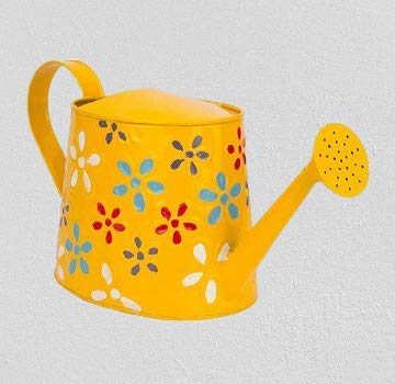 Royal Baskets 2 litres Hand Painted Metal Planters Oval Watering Can | Rust Free | Lightweight Ideal for Gifting | Gardening Tool | (Pack of 1 (Yellow) (B084G85Y1X) Amazon Price History, Amazon Price Tracker