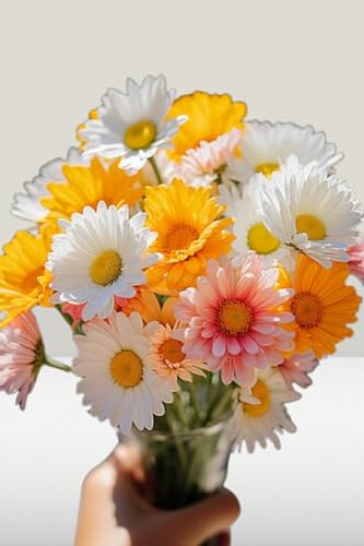 Lot de 700 graines à semer - Le Grenier d'Abondance - Fan de Marguerites - 7 sachets individuels