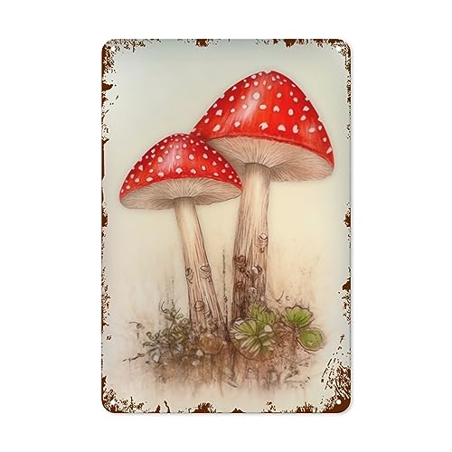 킢bh}bV[^uLŔ fpȃLb` Ǒ g t@[nEXA[g 8x12C`