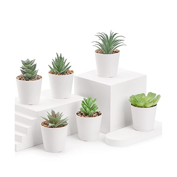 Der Rose Set of 6 Fake Plants Succulents Plants Artificial in Pots for Bedroom Aesthetic Living Room Bathroom Office Home Decor