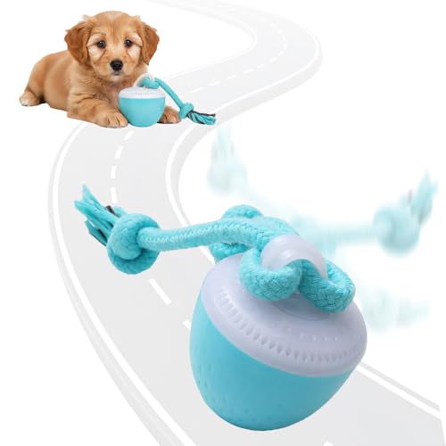 comepew Interaktives Hundespielzeug, 2026 Neu Smart Automatisch Rollender Ball mit 3 Modi HundegeBell, Hundespielzeug Mit Schnur Katzenspielzeug Elektrisch 360° Interactive Dog Toys (Blau)