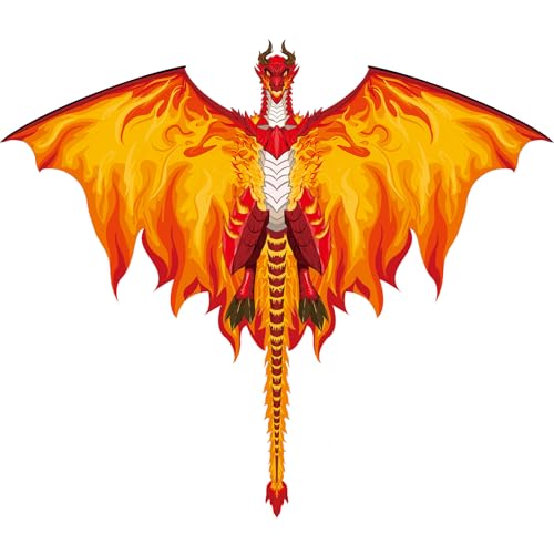 Cerf-volant dragon pour adultes et enfants débutants jeu de plein air pour parc